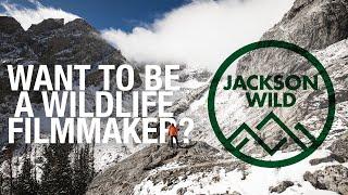 One week to learn all you need to become a wildlife filmmaker - Volunteer at Jackson Wild