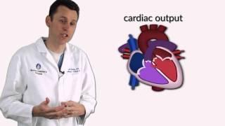 Ventricular Septal Defects by Dr. David Bailly for OPENPediatrics