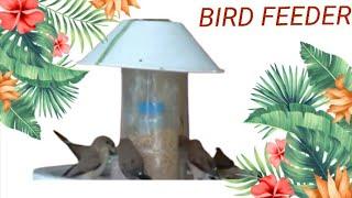 How to make BIRD FEEDER