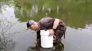 Wisconsin Mussel Monitoring Program - Part 1