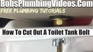 Toilet Tank Bolts Leaking - How To Cut Off The Bolts