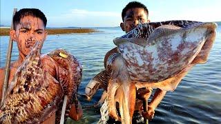Bule nangkap Sotong BESAR berujung petaka  Ikan Kerang & Sotong terjebak air surut