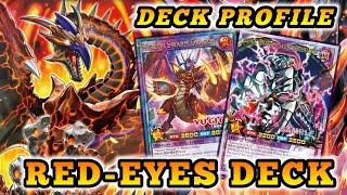 RED-EYES Deck Profile - Yu-Gi-Oh RUSH DUEL - EDOPRO