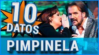 10 Curiosidades sobre PIMPINELA 