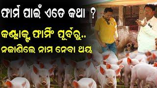 ଫାର୍ମ ପାଇଁ  କିଛି ଅଜଣା କଥା  How To Start Pig Farm In Odisha