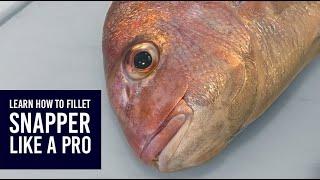 How to fillet skin and debone New Zealand snapper tāmure