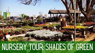 Nursery Tour - Shades Of Green   Plant Nursery Tour  Plant Haul  Spring Plants 2023