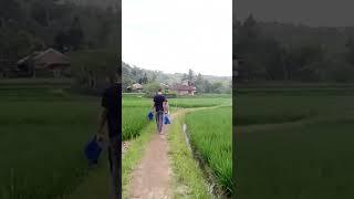 SUASANA PEDESAAN SUKABUMI JAWA BARAT