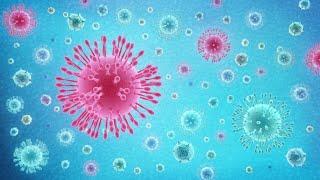 What Is Coronavirus COVID-19?