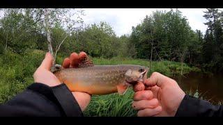 The Trout Fishing Montage By NickFlemingVlogs