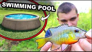 Stocking Fish into My Swimming Pool Pond