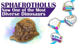 Sphaerotholus Now One of the Most Diverse Dinosaurs