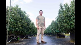 6000 plants make up this outdoor cannabis grow in Michigan