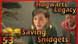 Hogwarts Legacy Part 53  Saving Snidgets  Hard First Playthrough