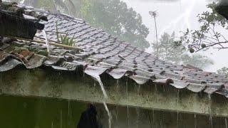 NGABUBURIT Hujan Deras Mengguyur Kampung Yang Indah Udaranya Sejuk Suasana Pedesaan Jawa Barat
