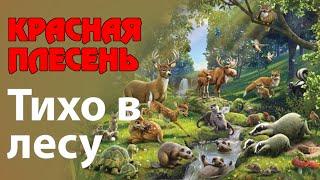 Красная Плесень - Тихо в лесу  Лучшие песни