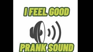 I FEEL GOOD PRANK SOUNDSO GOOD