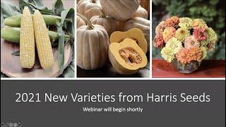 New Flower and Vegetable Seed Varieties from Harris Seeds 2021