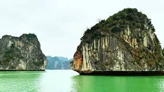 Vietnam Halong Bay One Day Cruise 1 Science Views and Ti Top Island