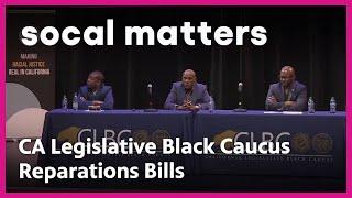 CLBC Promotes 14 Reparations Bills Across the State  SoCal Matters  PBS SoCal