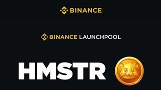 Binance Launchpool-da Hamster Combat Partlayışı Bu Şansı Qaçırma