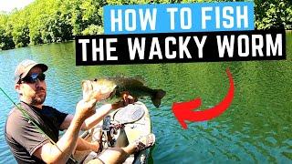 How to Fish The Wacky Worm  Wacky Rig Bass Fishing