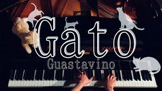 【解説付】ガト（猫） グアスタビーノ  Guastavino Gato