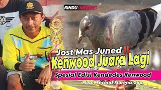 TOP‼️7 Aksi Kendedes Kenwood Juara Mobil Second Kolong Morena Pekalongan