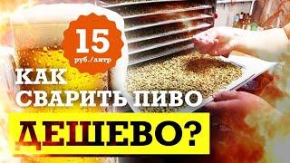 Как сварить недорогое пиво - 15 рублей за литр. Солод своими руками.