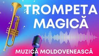 COLAJ MELODII DE NEUITAT LA TROMPETA MUZICĂ MOLDOVENEASCĂ LA TROMPETĂ  MUZICĂ DE PE TIMPURI