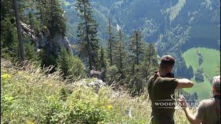 Last minute shot  hunting chamois in the alps  hunting film Woodwalker 2022  ep # 35