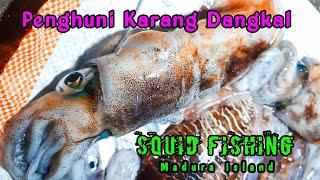 MANCING CUMI CUMI BESAR DI KARANG DANGKAL Pesta Strike babon Semua   squid fishing