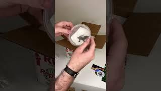 Unboxing My New $10000 Gecko *CRAZY* #shorts #animals #lizard #reptiles #gecko #rare #cuteanimals