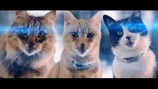 Meow Mix - The Shelines Directors Cut