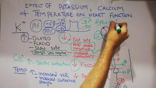 CVS physiology lecture 14. Effect of potassium calcium and temperature on heart functions