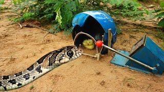 Creative diy snake trap make from Machin cut card & helmet