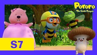 Pororo Season 7  #21 Mysterious Magic Forest 1  S7 EP 21  Pororo English Episodes