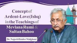 Concept of Ardent-Love Ishq in the Teachings of Mevlana Rumi & Sultan Bahoo  Dr. Najeeb Haider