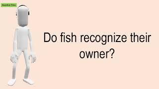Do Fish Recognize Their Owner?