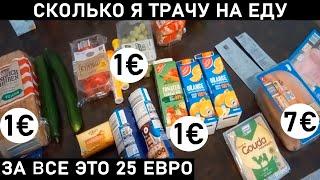 СКОЛЬКО СТОИТ ЕДА В ГЕРМАНИИ. Какие цены в Мюнхене на продукты