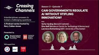 Crossing Channels - Can governments regulate AI without stifling innovation?