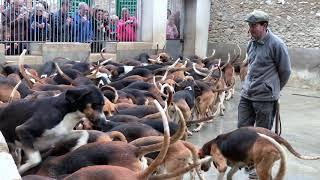 Feeding the Hounds at Frances Châteaux Cheverny