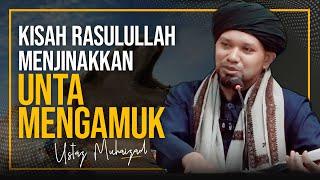 KISAH NABI S.A.W DENGAN UNTA MENGAMUK   Ustaz Muhaizad Muhammad