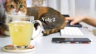 Vlog 2 迷你iHerb開箱｜燉雪梨茶｜Green monday素飯盒｜貓咪日常｜Carmen卡文