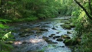 Sonidos de la naturaleza Agua Rio Pájaros Aves Sonidos para relajarse. Sonidos para dormir