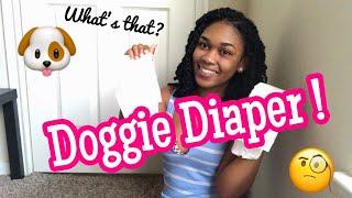 HOW TO MAKE A DOG DIAPER  DIY DOGGY DIAPERS