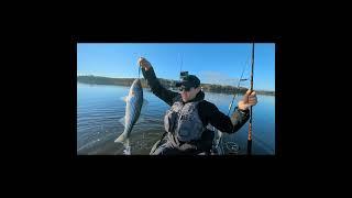 Fishing Slow Mo #fishing #fishingadventures #fishingvideo #kayakfishing #bassfishing #fish #fallrun