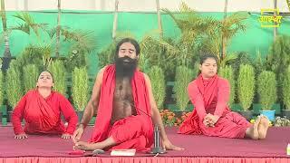 योग की शुरुआत करना चाहते हैं तो इस तरह करें योगाभ्यास  Swami Ramdev