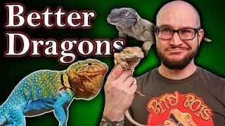 You DO NOT Want A Bearded Dragon 5 BETTER Bearded Dragon Alternatives