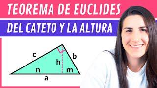 TEOREMA de EUCLIDES  del CATETO y la ALTURA